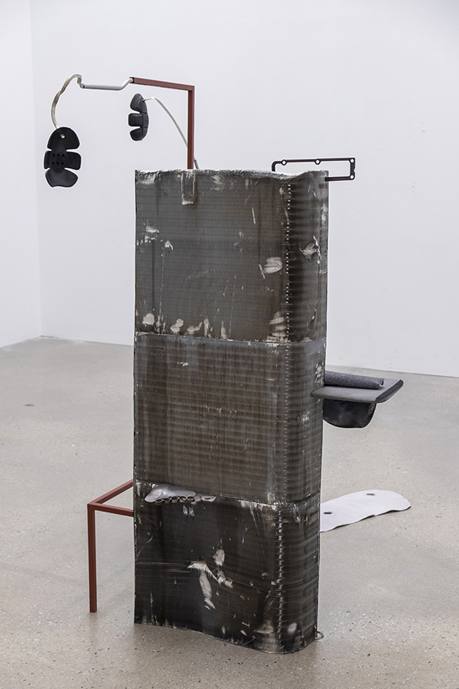 Carina Emery - Organ of Manipulation (Wing Mirrors), 2020